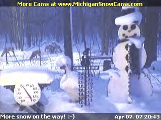 Snowman Cam in April 2007 with deer in background.