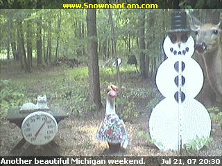 White tail deer standing near the snowman.