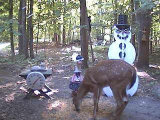 A late season fawn stops by to visit the snowman cam.